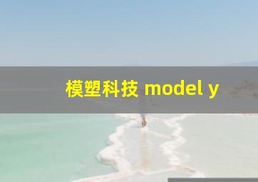 模塑科技 model y